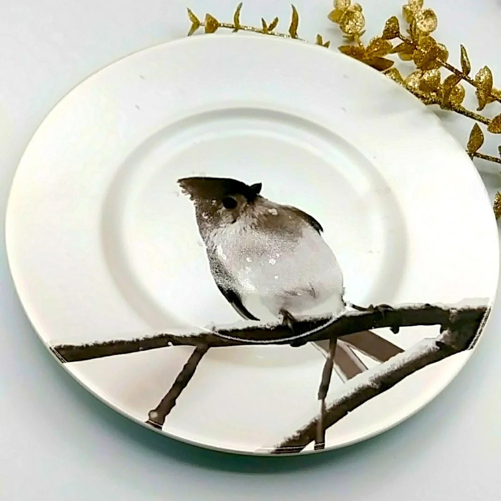 Pier 1, Snowy Tufted Titmouse on Branch. Salad Plate is 8.5” wide.